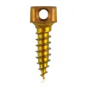 Knogleanker skrue Ø2.0 x 7mm, guldfarvet, dobbeltøjet Ø 1.1mm