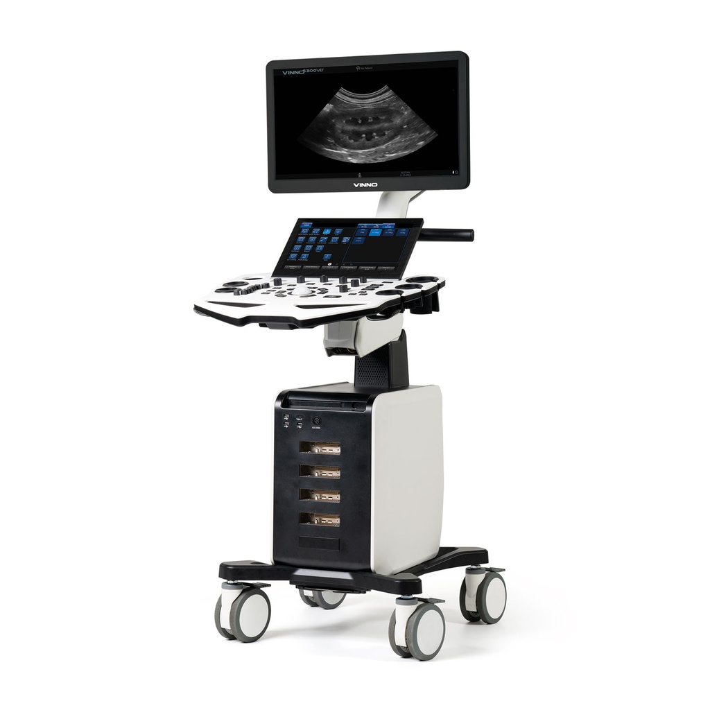 [A35102002] VINNO S300 with 2 Probes