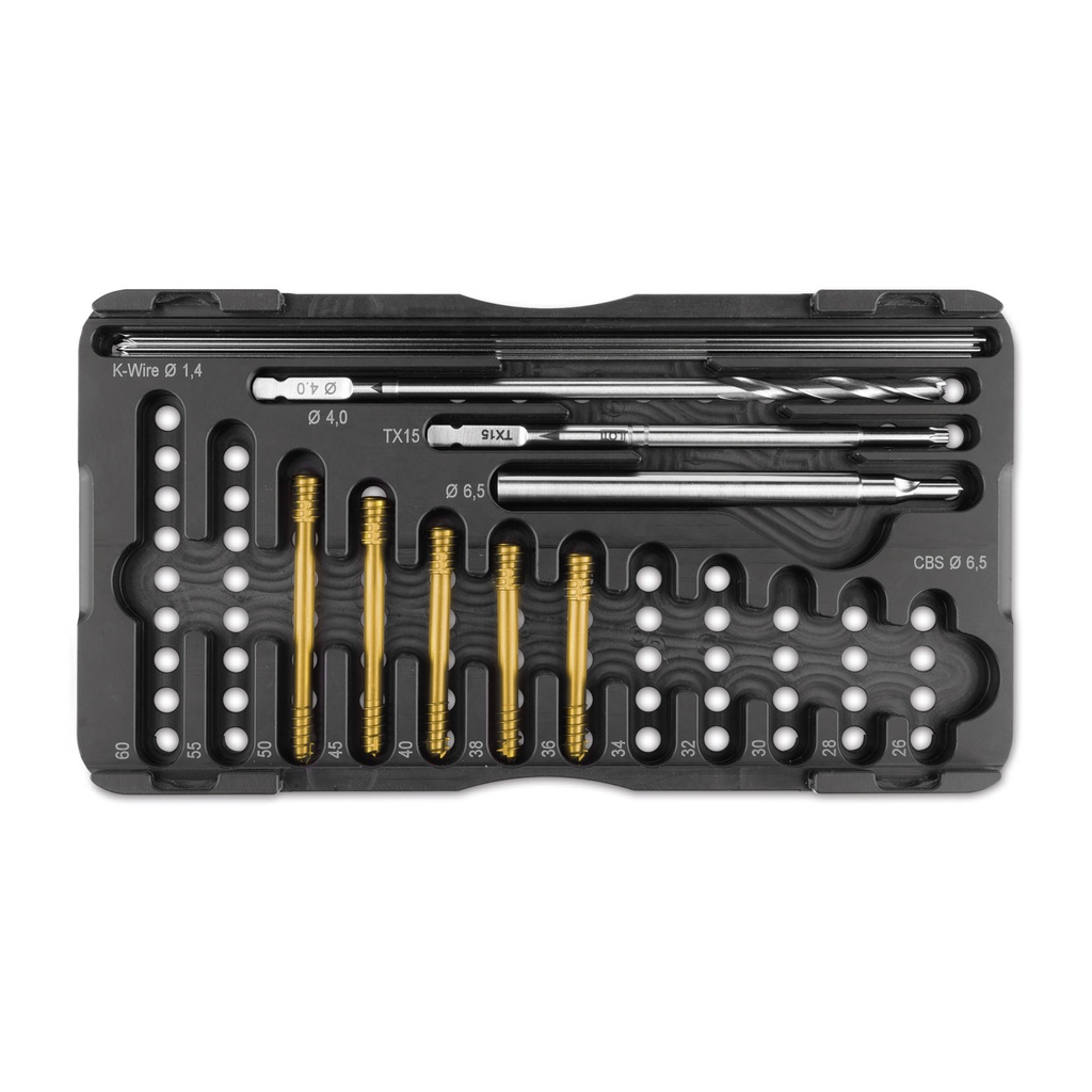 [191480] Set CBS Ø 6.5 mm - Cane taglia grande