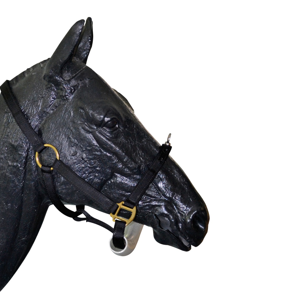 Nylon kötőfék, WWE #810-2376