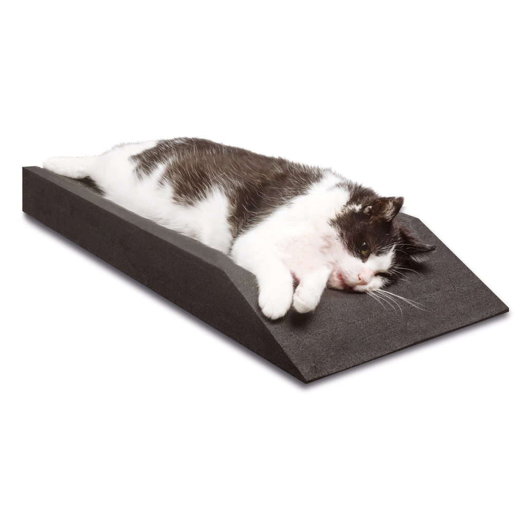 Coussin de contention DENTO-DORM pour des traitement dentaires, des diagnostics radiographiques et