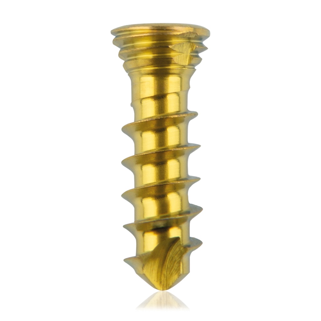 [185528] Titan-Verriegelungsschraube Ø2.3x 8 mm,multidirektional, gold, Torx 6, selbstschneidend, selbstbohrend
