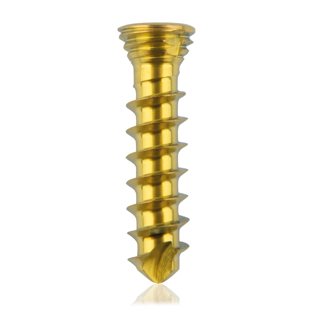 [185529] Titan-Verriegelungsschraube Ø2.3x10 mm,multidirektional, gold, Torx 6, selbstschneidend, selbstbohrend