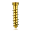 Titanium låseskrue Ø 2,3 x 10 mm multidirektional, guld, torx 6, selvskærende
