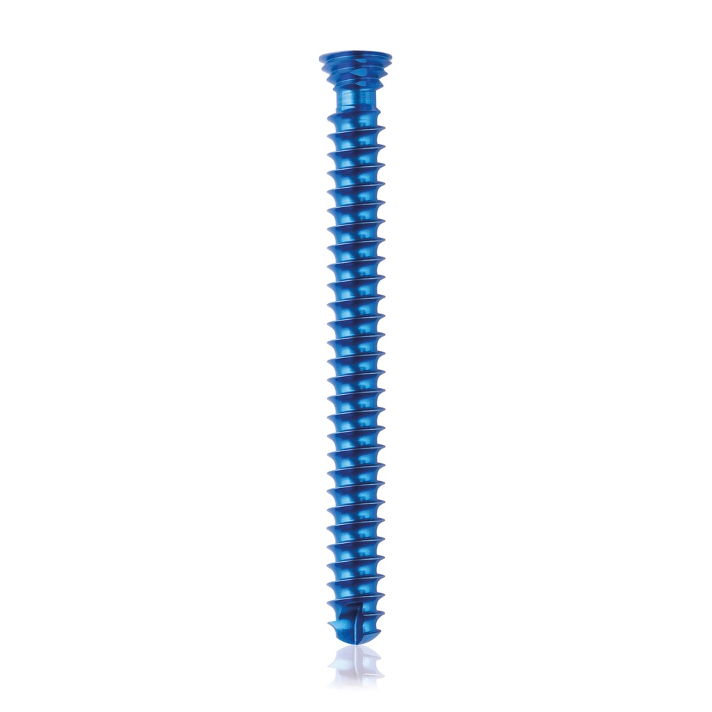 [185466] Titan- Verriegelungsschraube Ø4.0x 38mm, multidirektional, silber Torx 10