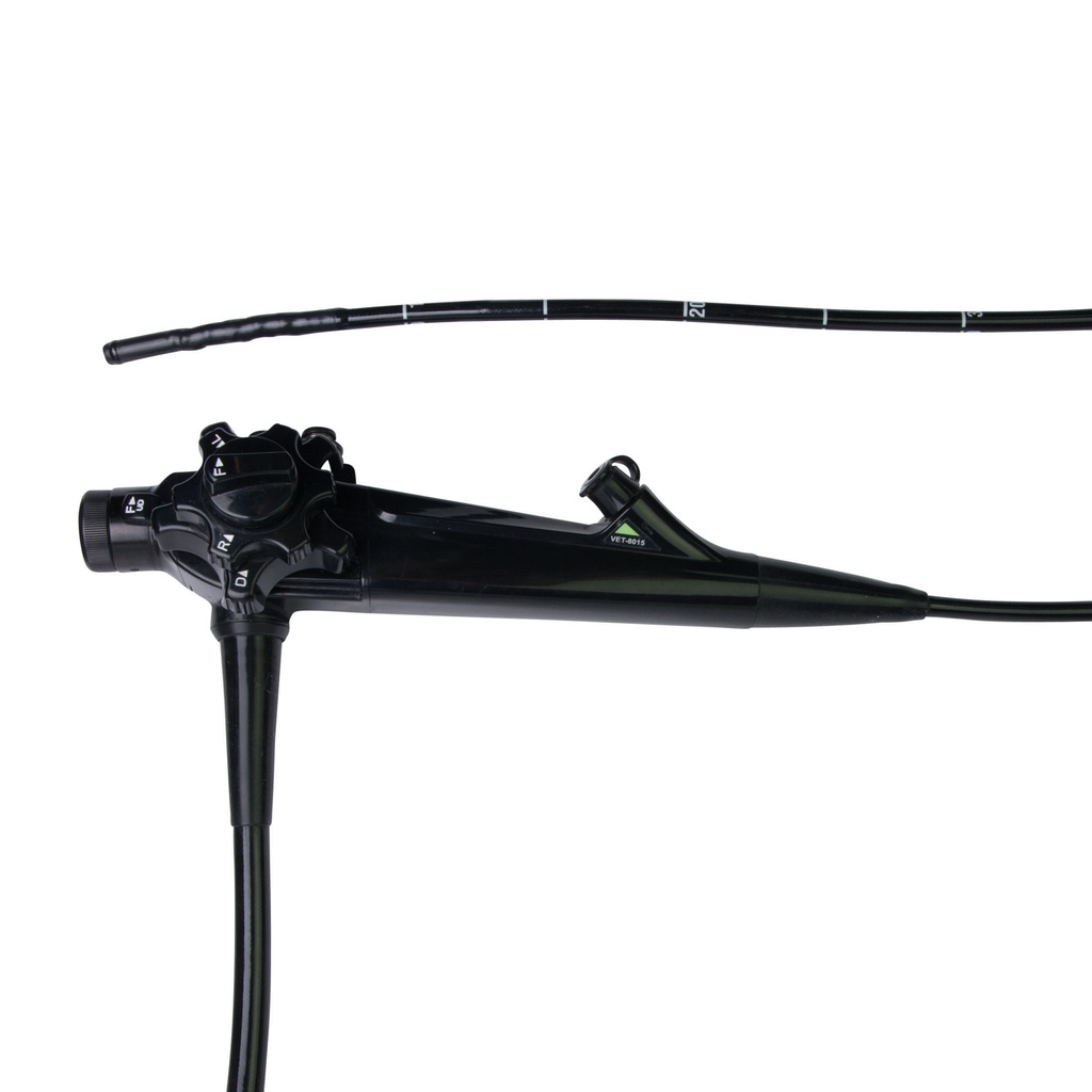 Endoscope vidéo EickView 100 HD longueur = 100 cm, Ø extérieur = 6 mm canal opérateur Ø = 2 mm