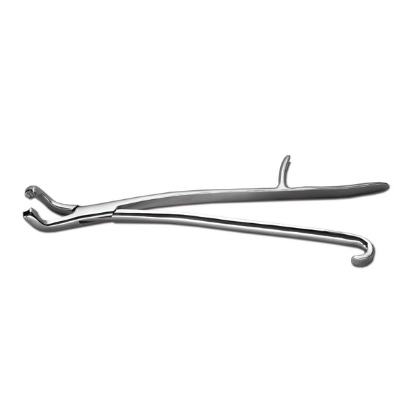 Pinza denti per cavalli Word Wide Equine tipo REYNOLDS, modello pesante, curvato verso sopra, 43 cm
