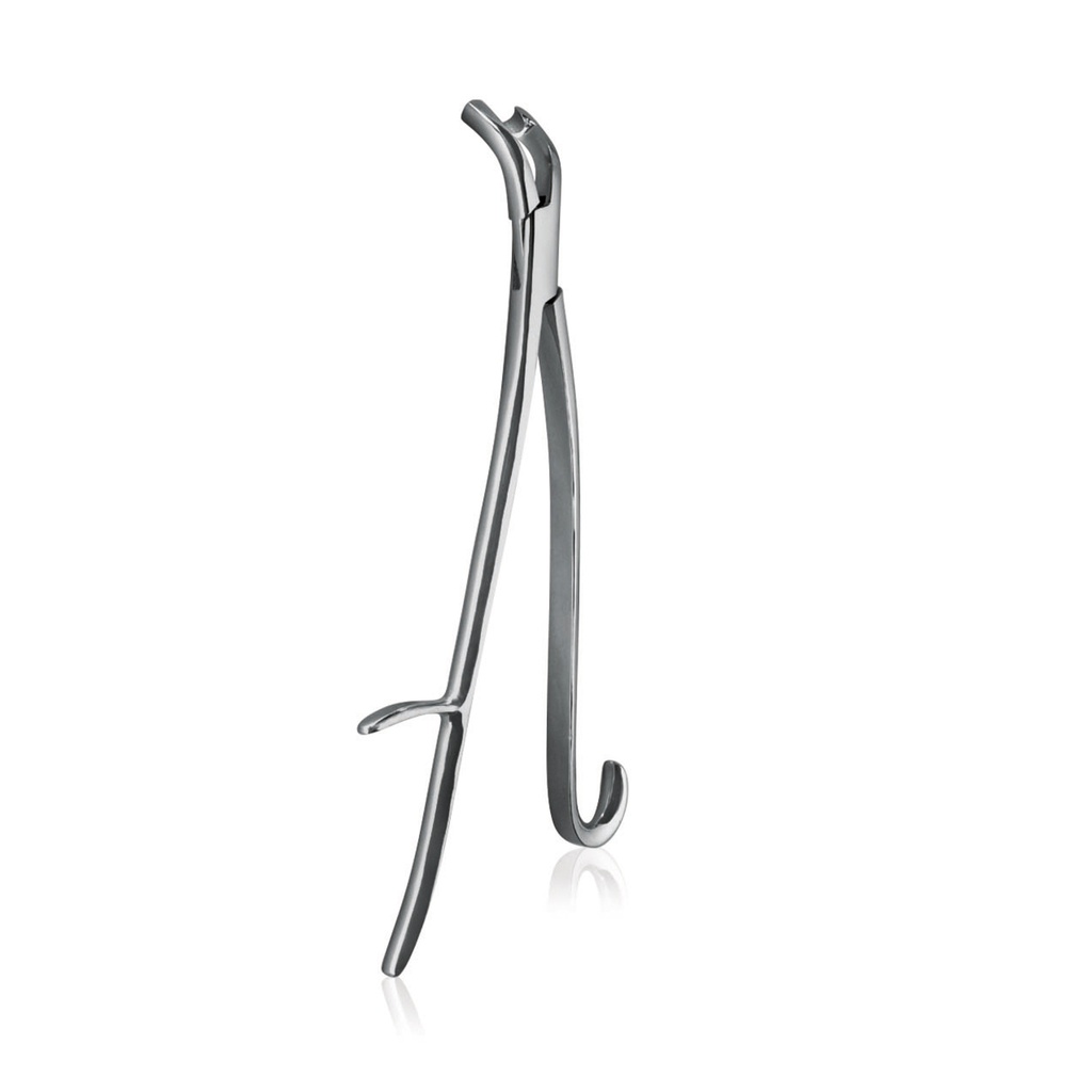Pinza denti per cavalli Word Wide Equine tipo REYNOLDS, modello pesante, curvato verso sotto, 43 cm