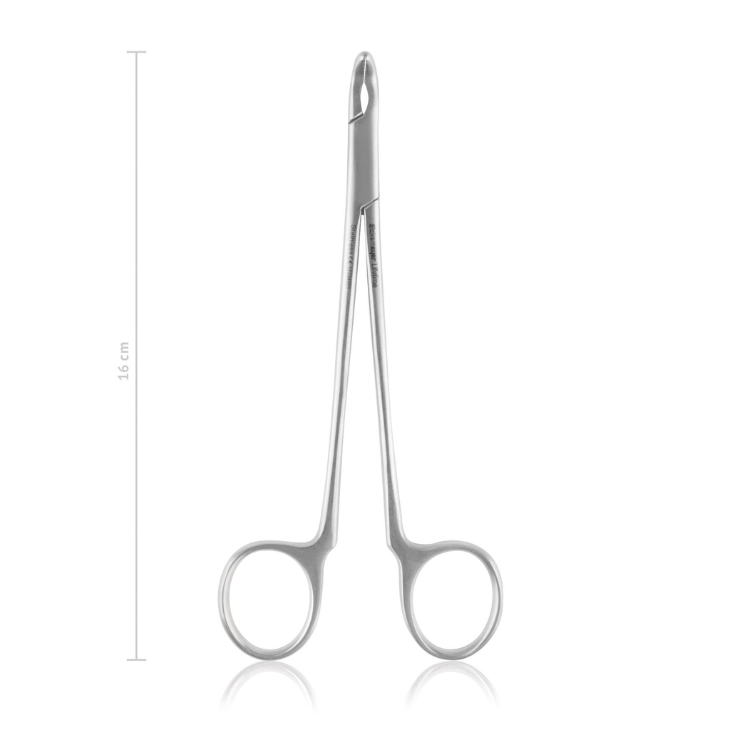 [17734001] Pinza denti per estrazione