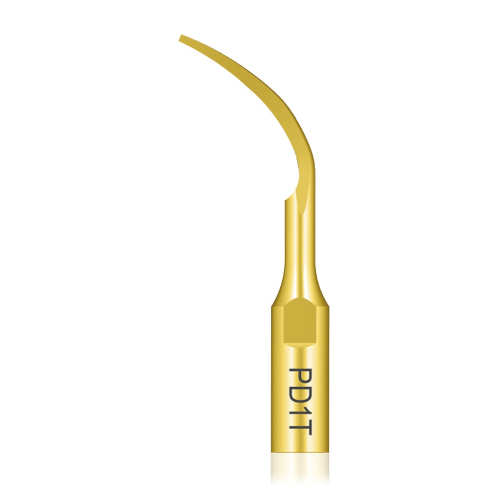 DTE Scaler-Ersatzspitze #PD1T, punktförmig für Profident Einbauscaler neues Modell ab 04/2021 (17402324)