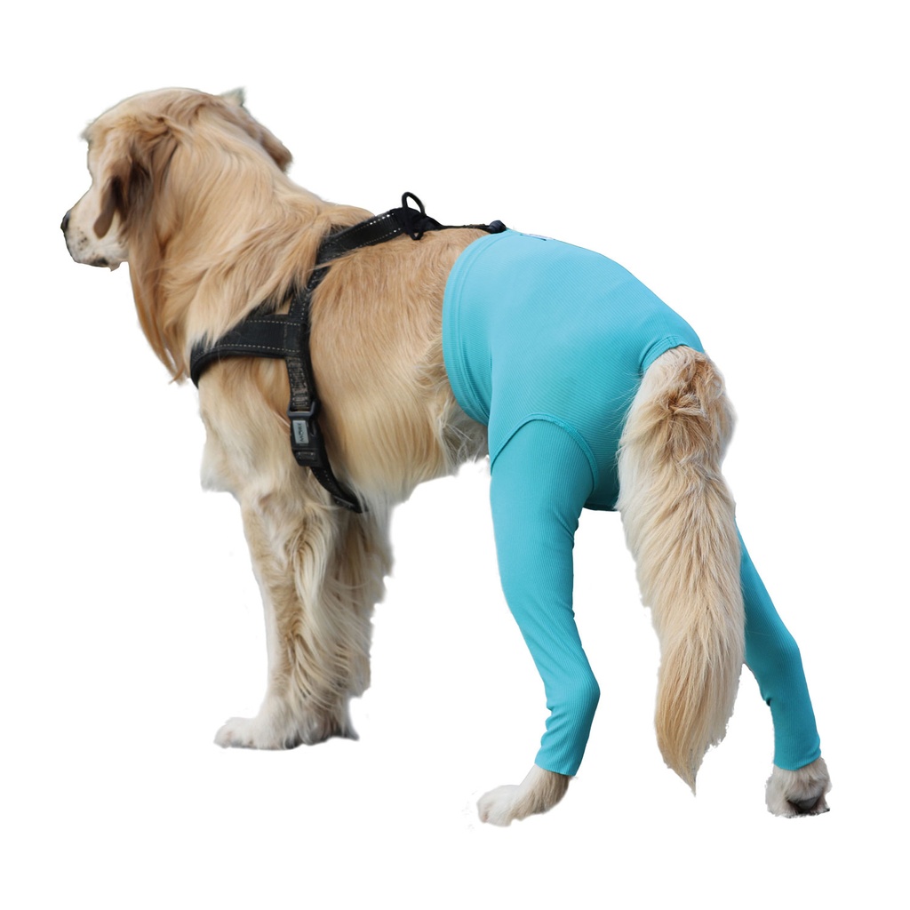 [VMC13012] Safety Pants taille S plus
