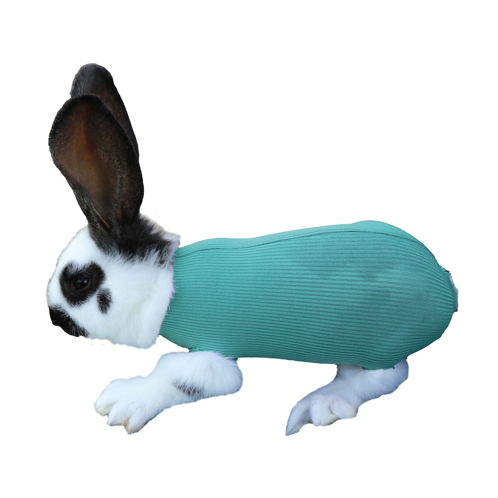 Tube de sécurité unisexe taille S (3,5 cm)