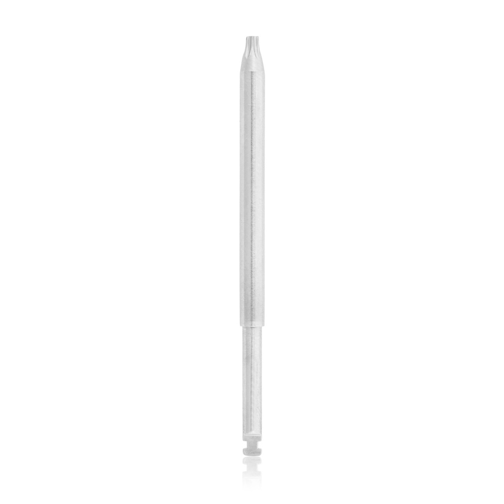 [197405] Lame de tournevis Torx 6, non canulée, raccord dentaire 50 mm