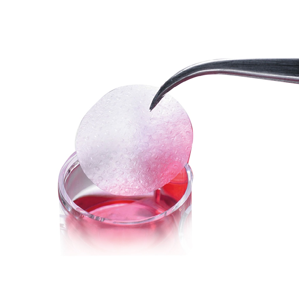 Membrane de collagène, 100 µm