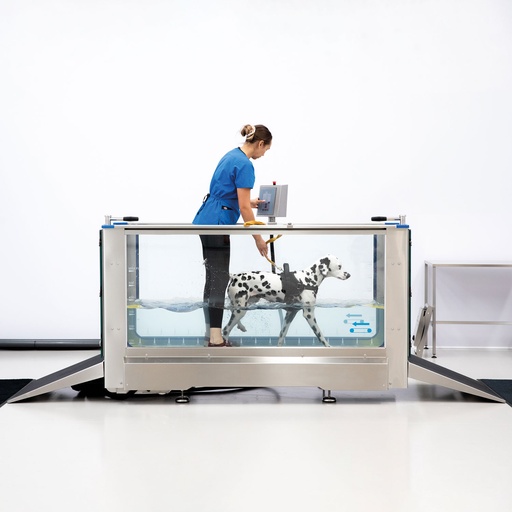 [646000] Hidroterápiás vízalatti futópad kutyák számára