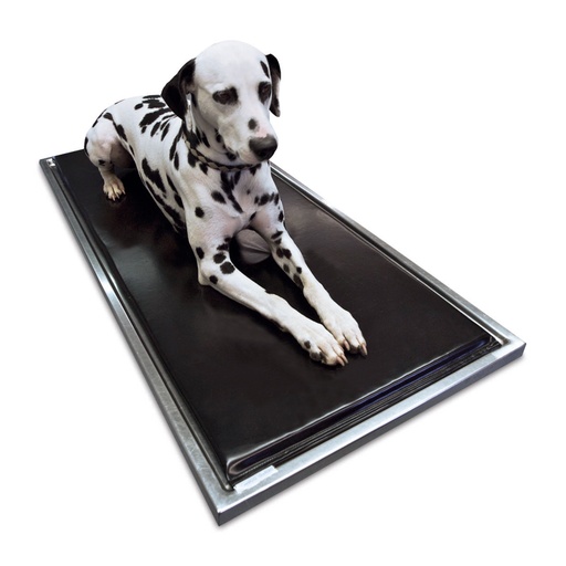 [602286] Behandlungstischmatratze Größe 2, 1250 x 555 x 20 mm, passend für Tischgröße 1300 x 600 mm, Bezug ist lösungsmittelfest, stich-, kratz- und rutschfest und zu 100% wasserdicht