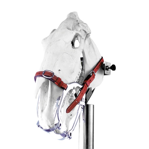 [177529] Pas -d'âne équin "Série 2020" 15 microdents Extra haute qualité