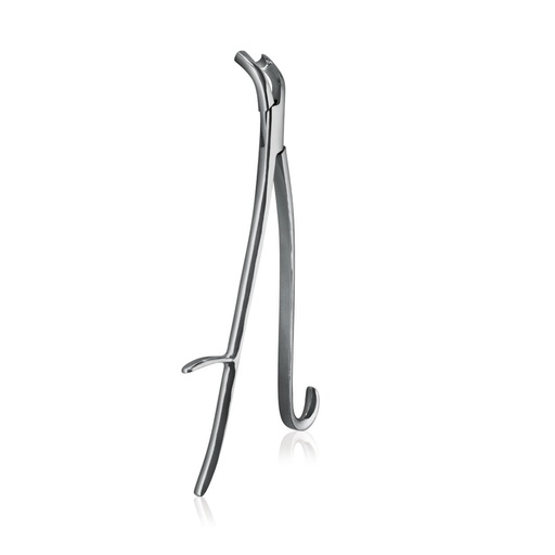 [177525] Pinza denti per cavalli Word Wide Equine tipo REYNOLDS, modello pesante, curvato verso sotto, 43 cm